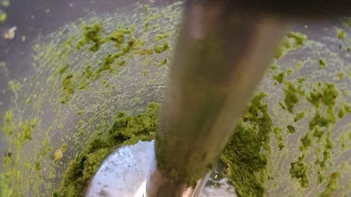 pesto staafmixer